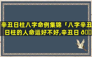 辛丑日柱八字命例集锦「八字辛丑日柱的人命运好不好,辛丑日 🐈 出生是什 🦋 么命」